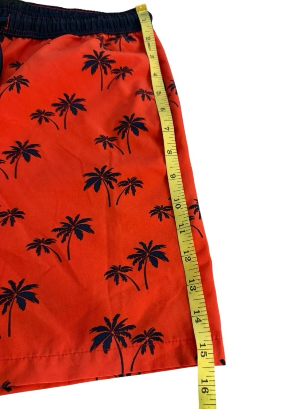 Public Record‎ Swim Trunks